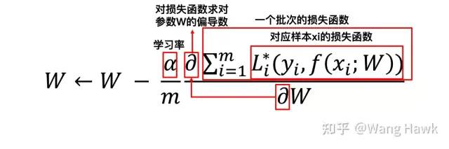 函数