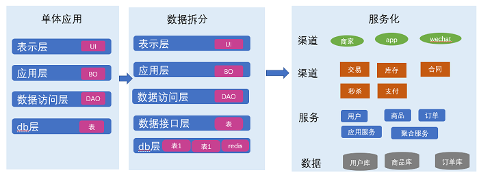 数据库