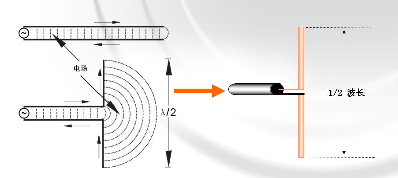 4aab05da-3afa-11ee-9e74-dac502259ad0.jpg