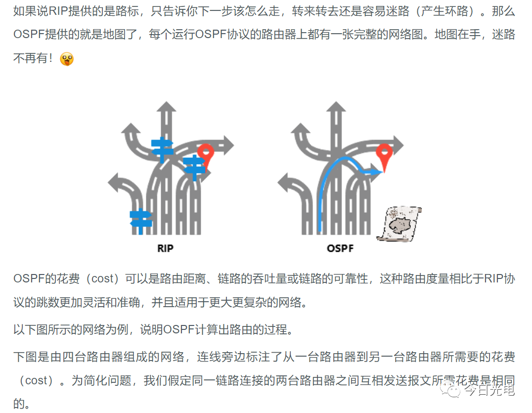 路由协议