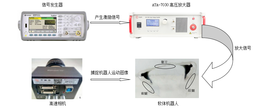 高压放大器