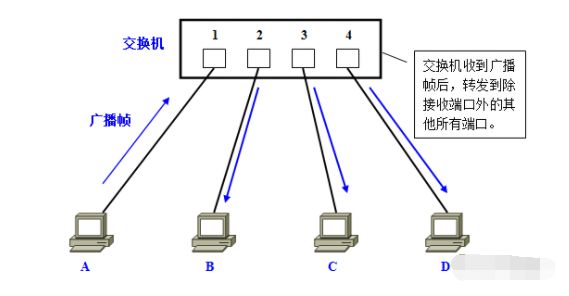 c0597990-a290-11ed-bfe3-dac502259ad0.jpg