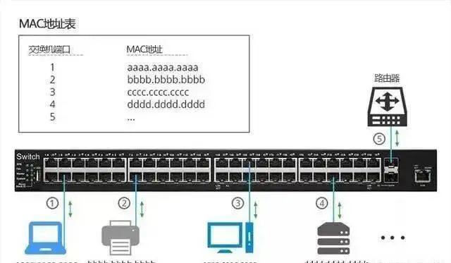 47ea6156-3fc8-11ee-ac96-dac502259ad0.jpg