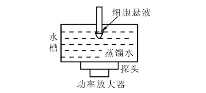 超声