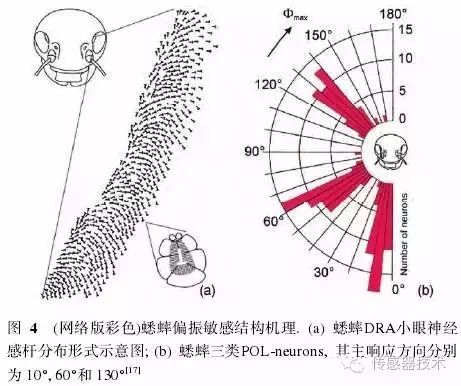 定位系统