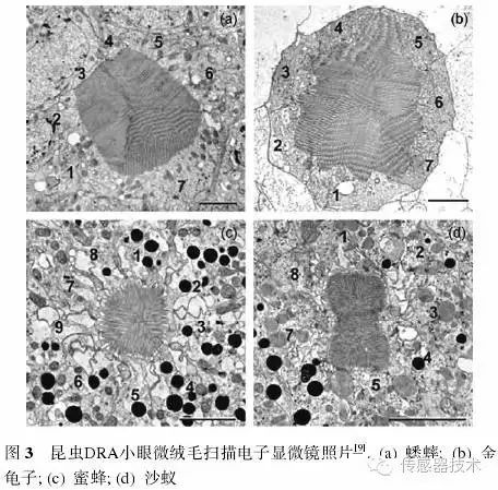 79f2ffea-3709-11ee-9e74-dac502259ad0.jpg