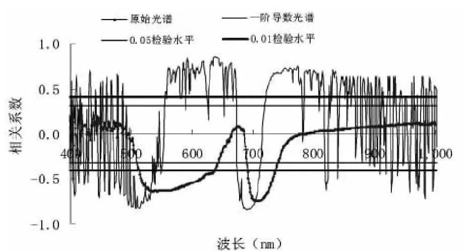 检测