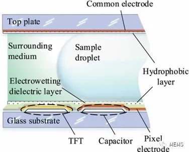 b08cc2ba-39f3-11ee-9e74-dac502259ad0.jpg