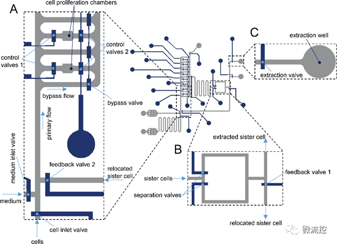 f835ceaa-3d62-11ee-ac96-dac502259ad0.png