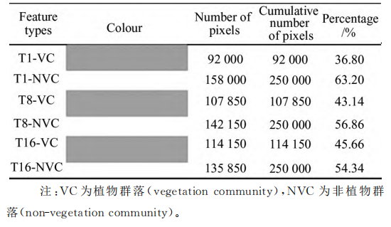 卷积网络