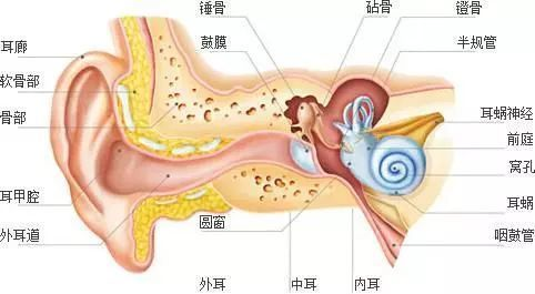 骨传导耳机的原理是什么，骨传导是智商税吗