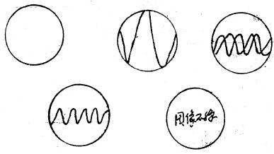 常用电子仪器使用练习