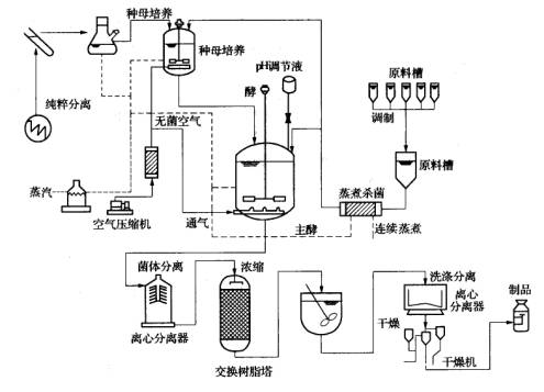 生物发酵的工艺过程流程图
