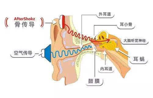 骨传导耳机好用吗，骨传导耳机有什么优点