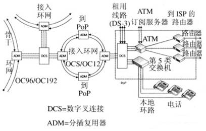 SONET／SDH光網絡概念