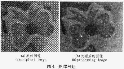 基于FPGA+DSP技术的Bayer格式实时图像处理系统