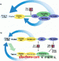 <b class='flag-5'>片</b><b class='flag-5'>上</b>芯片<b class='flag-5'>SoC</b>挑戰(zhàn)傳統(tǒng)測試<b class='flag-5'>方案</b>