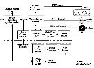 Freescale 混合<b class='flag-5'>动力</b><b class='flag-5'>传动系统</b>解决<b class='flag-5'>方案</b>