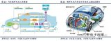 燃料电池产业链深度研究之技术路线及产业厂商
