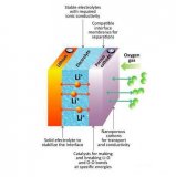 環境透射電鏡揭示鋰氧電池的反應機理