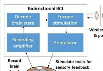 双向脑机接口技术研究与应用实例分享