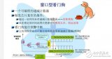 STM32的看门狗配置详情解说