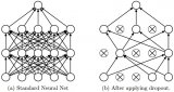 基于nolear建立的ConvNet体系结构并用它去训练一个特征提取器