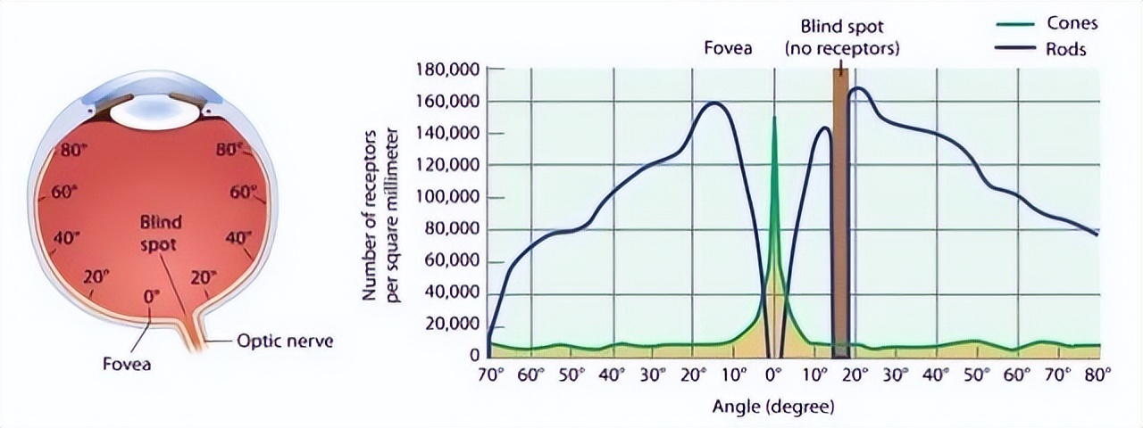 如何實現真正的沉浸式VR和AR？