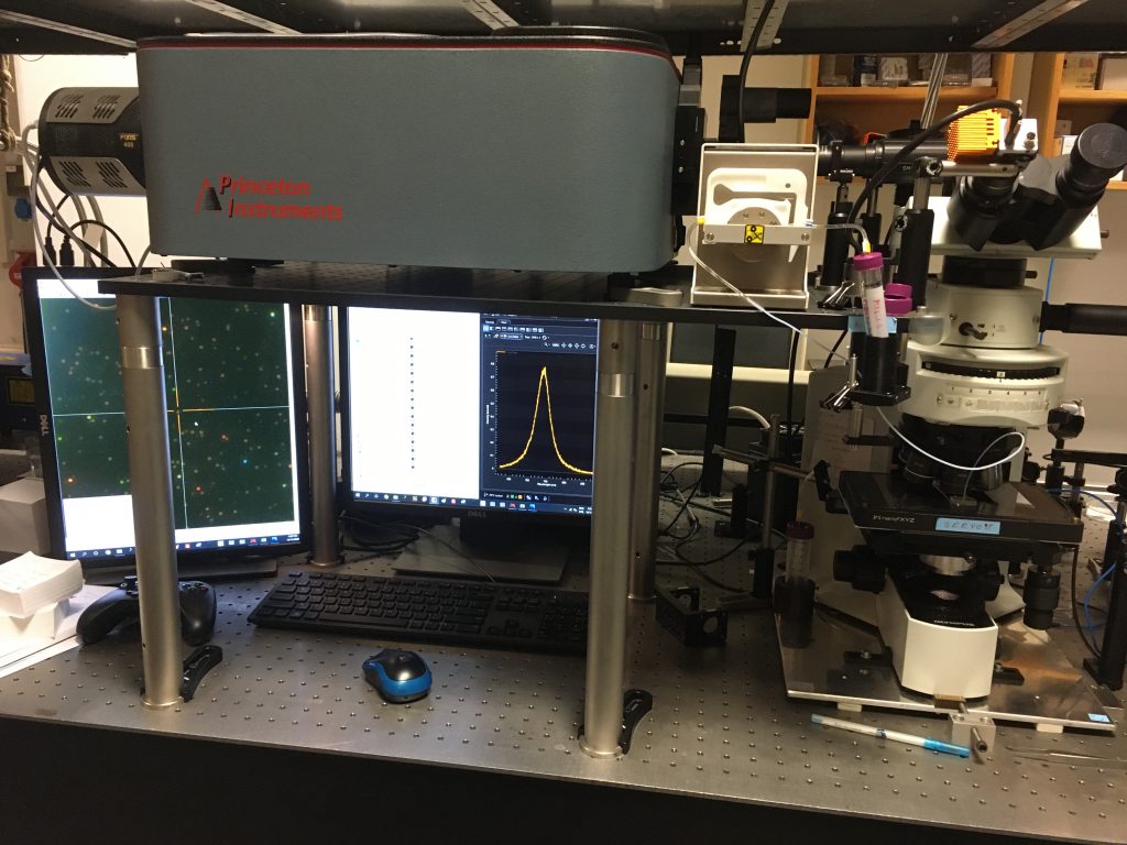 用于研究单个纳米颗粒表面的显微光谱