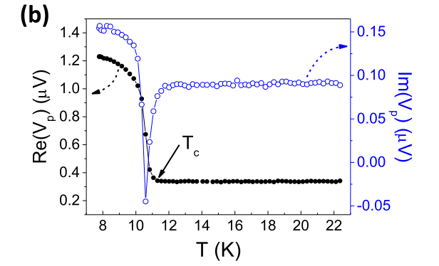 wKgaomYtfW6AERp-AACmQtqmX8E591.png