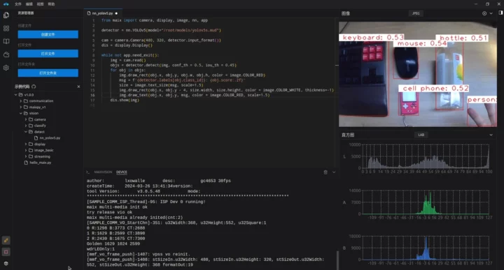 RISC-V