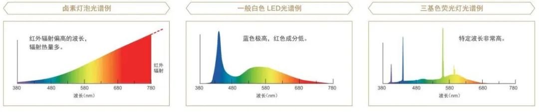 LED光源