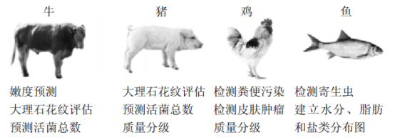 wKgZomaU-zCAJJKTAAEY1invzWM534.png