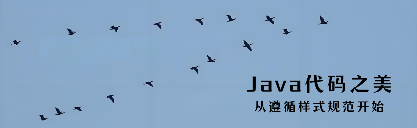 Java代碼之美，<b class='flag-5'>從</b>遵循樣式<b class='flag-5'>規范</b>開始