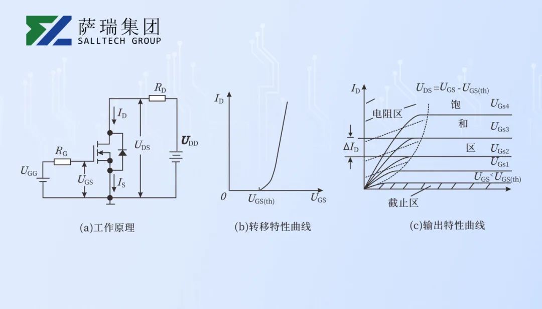 ec1e179a-bb96-11ef-8084-92fbcf53809c.jpg