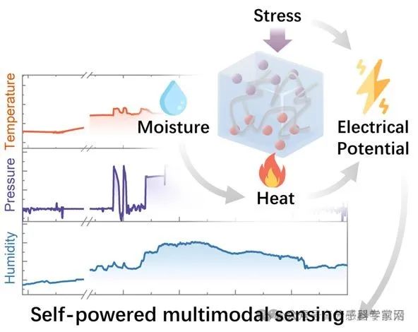 复旦大学：“压电增强热电”离子凝胶及多模态自供电医疗传感器应用