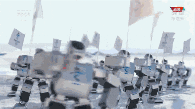 d04e8878-e5ef-11ef-9434-92fbcf53809c.gif