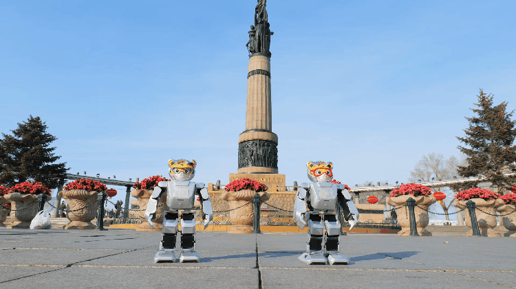 cff8255a-e5ef-11ef-9434-92fbcf53809c.gif