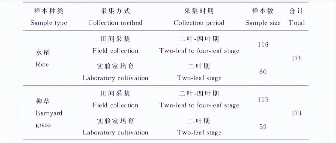 基于地物光譜儀的稻田秧苗及稗草的早期<b class='flag-5'>識別</b>