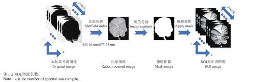 基于高光谱深度特征的油菜叶片锌含量检测