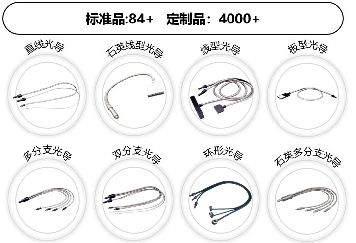 d95f2f00-fb32-11ef-9434-92fbcf53809c.png