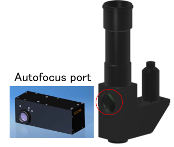 d94a4702-fb32-11ef-9434-92fbcf53809c.png