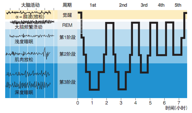 3f3e5a18-03f2-11f0-9434-92fbcf53809c.png