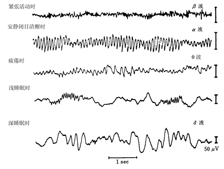 a80d6cfe-0655-11f0-9434-92fbcf53809c.png