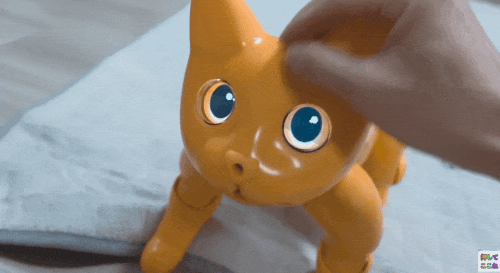 b5dd490c-0917-11f0-9434-92fbcf53809c.gif