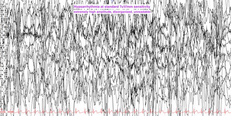 f7db622e-0be9-11f0-9434-92fbcf53809c.png
