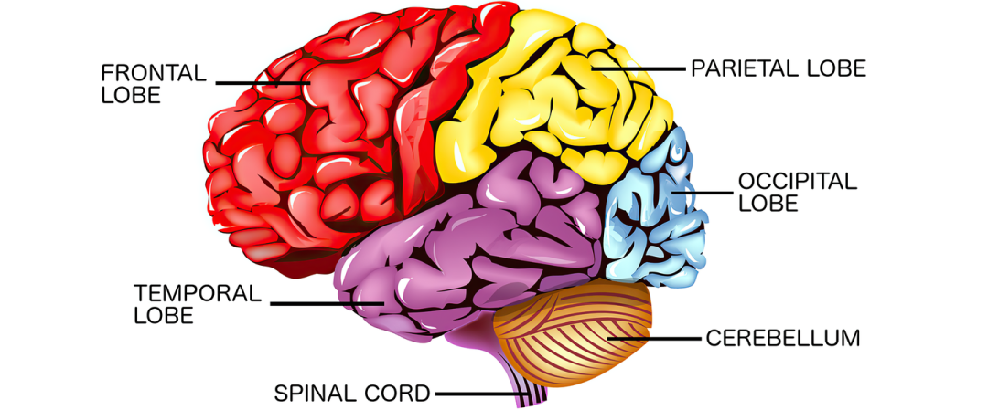 3e5452c8-0e3e-11f0-9434-92fbcf53809c.png