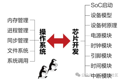 8c864dda-0e88-11f0-9434-92fbcf53809c.png