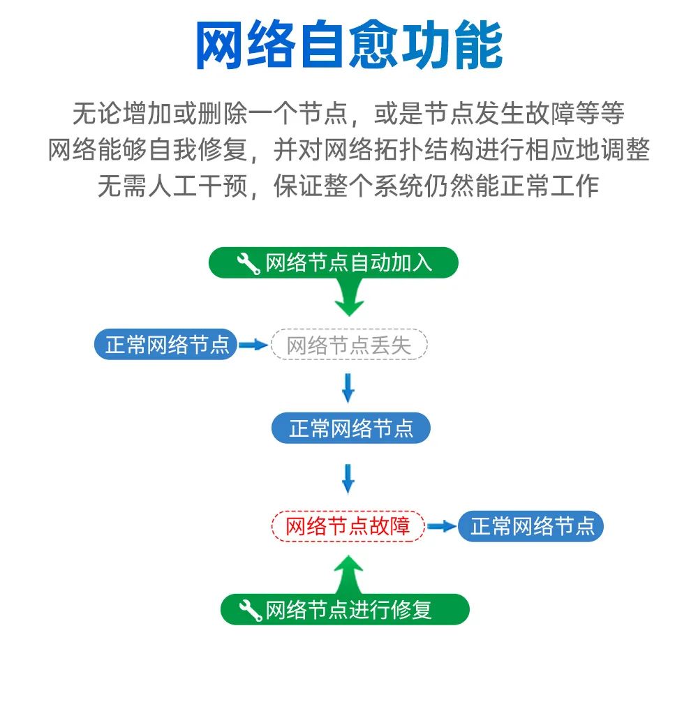 d3f6a11e-15ff-11f0-9434-92fbcf53809c.jpg
