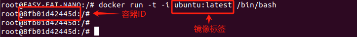 wKgZO2f_EGeAB_ewAAA7sTn8vLk485.png
